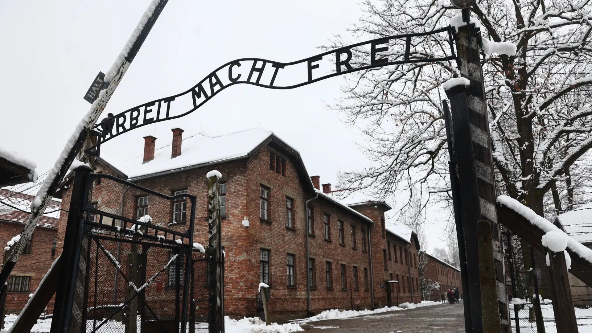 Reprimir al nazi que llevamos dentro Reprimir al nazi que llevamos dentro