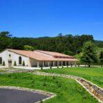 Lindeiros 2022, uno de los mejores representantes de las nuevas tendencias en Rías Baixas Lindeiros 2022, uno de los mejores representantes de las nuevas tendencias en Rías Baixas
