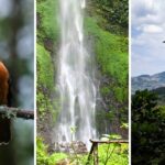 Caminatas ecológicas en Bogotá para agosto: cupos gratis y pocas fechas