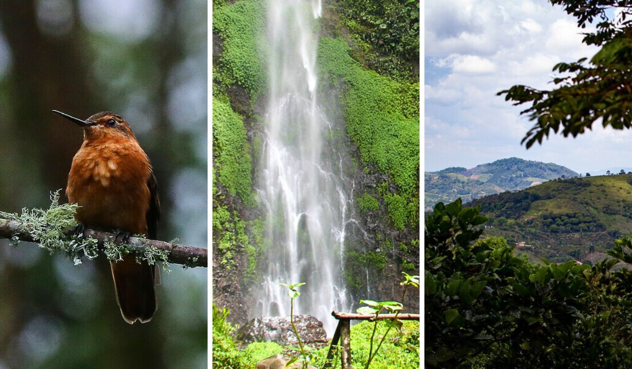 Caminatas ecológicas en Bogotá para agosto: cupos gratis y pocas fechas Caminatas ecológicas en Bogotá para agosto: cupos gratis y pocas fechas