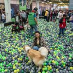 Expopet 2025: fechas, programación y entradas para la feria de mascotas