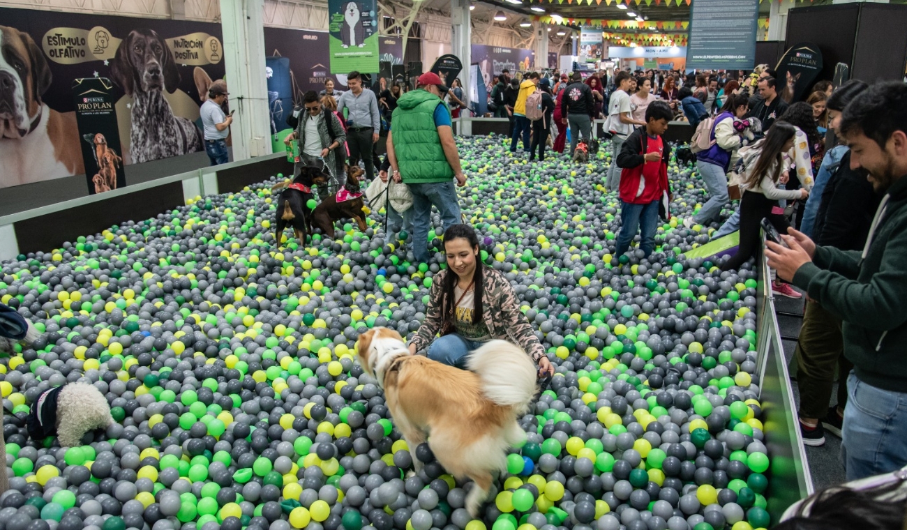 Expopet 2025: fechas, programación y entradas para la feria de mascotas Expopet 2025: fechas, programación y entradas para la feria de mascotas