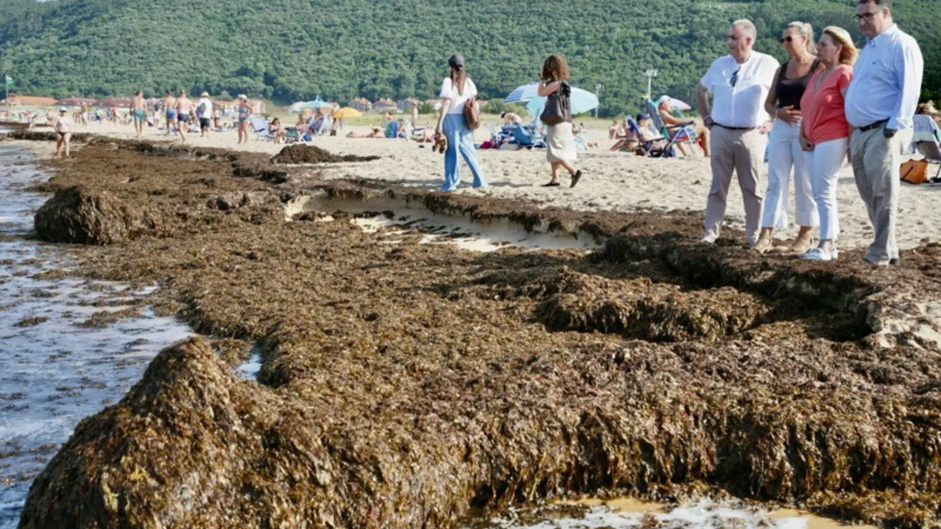 recogidas 2.000 toneladas en Noja en tres días