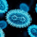 Galicia confirma un brote de viruela del mono con siete casos en A Coruña sin origen «claro» Galicia confirma un brote de viruela del mono con siete casos en A Coruña sin origen «claro»