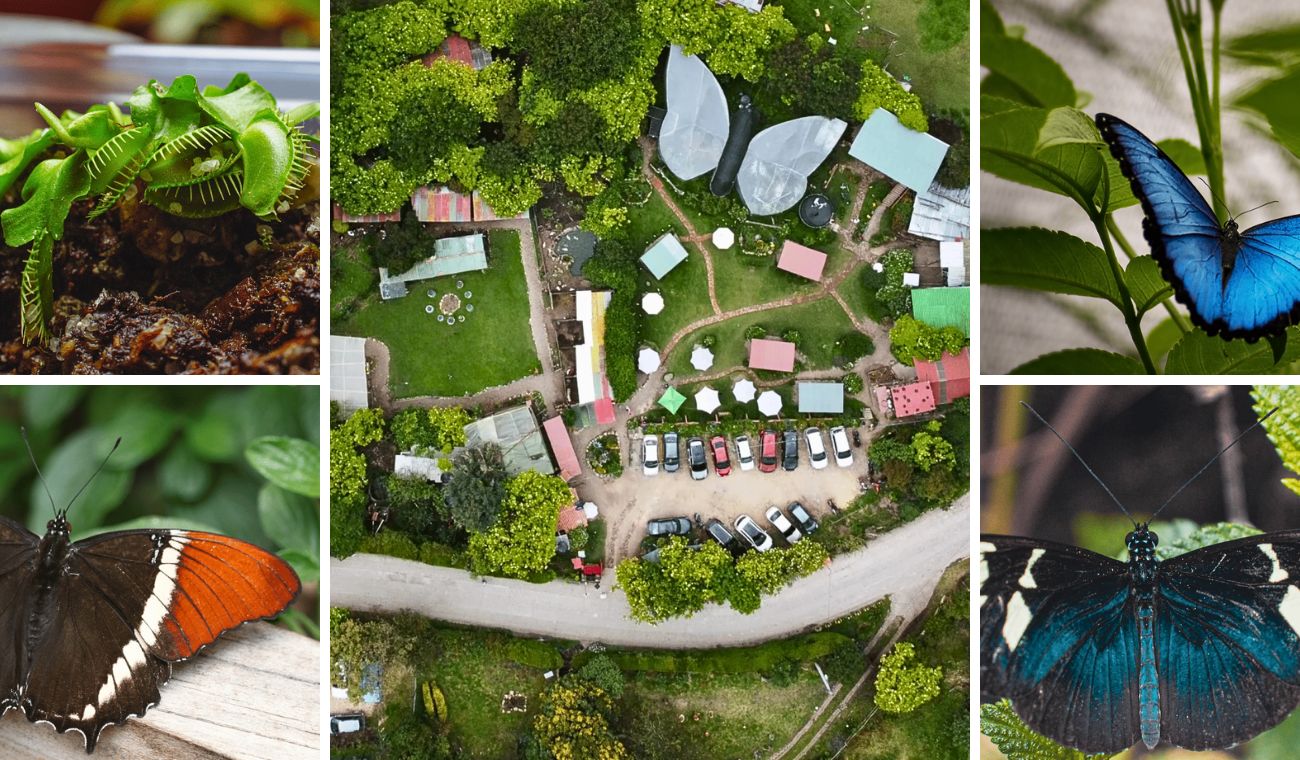 Bioparque Monarca: aventura familiar en Tenjo con mariposario incluido Bioparque Monarca: aventura familiar en Tenjo con mariposario incluido