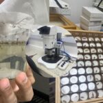 ¡Escudo anti-dengue! Rey estrena logro clave contra la fiebre amarilla ¡Escudo anti-dengue! Rey estrena logro clave contra la fiebre amarilla