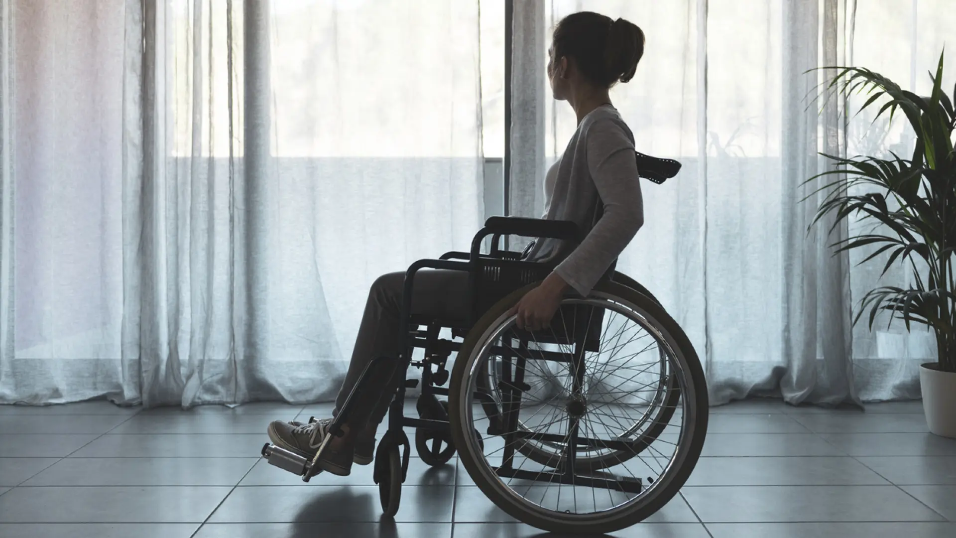 El tiempo de supervivencia de los pacientes con ELA podría depender de su sistema inmunitario, según un estudio El tiempo de supervivencia de los pacientes con ELA podría depender de su sistema inmunitario, según un estudio