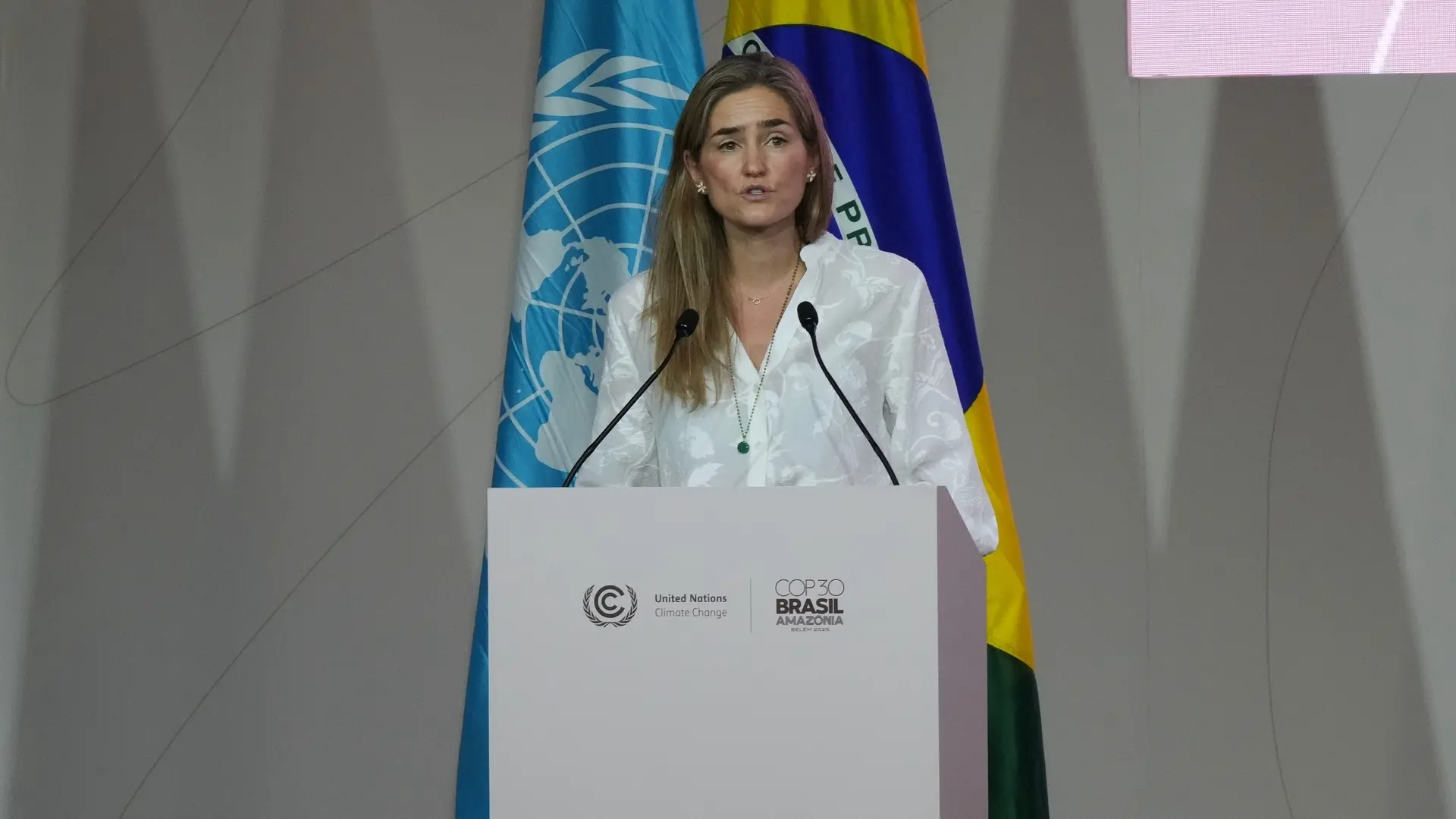 Aagesen cita la DANA y los incendios como la «cara más amarga» del cambio climático para pedir más «ambición» para reducir emisiones