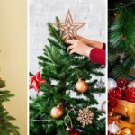 ¿Cuándo poner el árbol de Navidad? Inicie con todo el espíritu festivo ¿Cuándo poner el árbol de Navidad? Inicie con todo el espíritu festivo