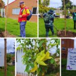 Más verde en San Cristóbal: Parque San Blas estrena árboles y flores