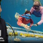 Dos paisas se metieron a San Andrés a sacar la basura del mar y a recuperar su barrera de coral Dos paisas se metieron a San Andrés a sacar la basura del mar y a recuperar su barrera de coral