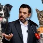 Galán anunció 7.000 cupos de esterilización gratis sin cita previa Galán anunció 7.000 cupos de esterilización gratis sin cita previa