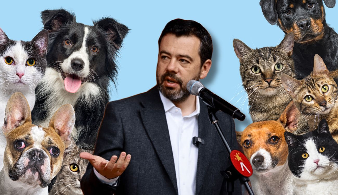 Galán anunció 7.000 cupos de esterilización gratis sin cita previa