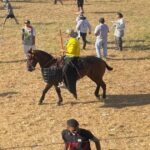Autoridades de Caucasia, aseguran que cumplieron normativa en corralejas