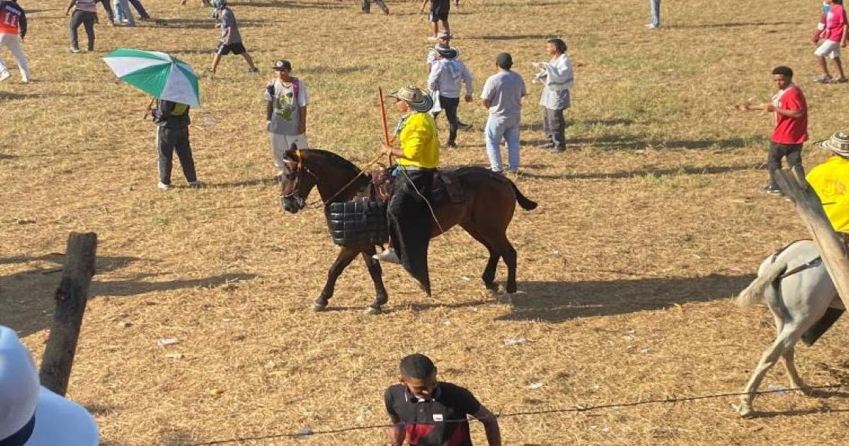 Autoridades de Caucasia, aseguran que cumplieron normativa en corralejas