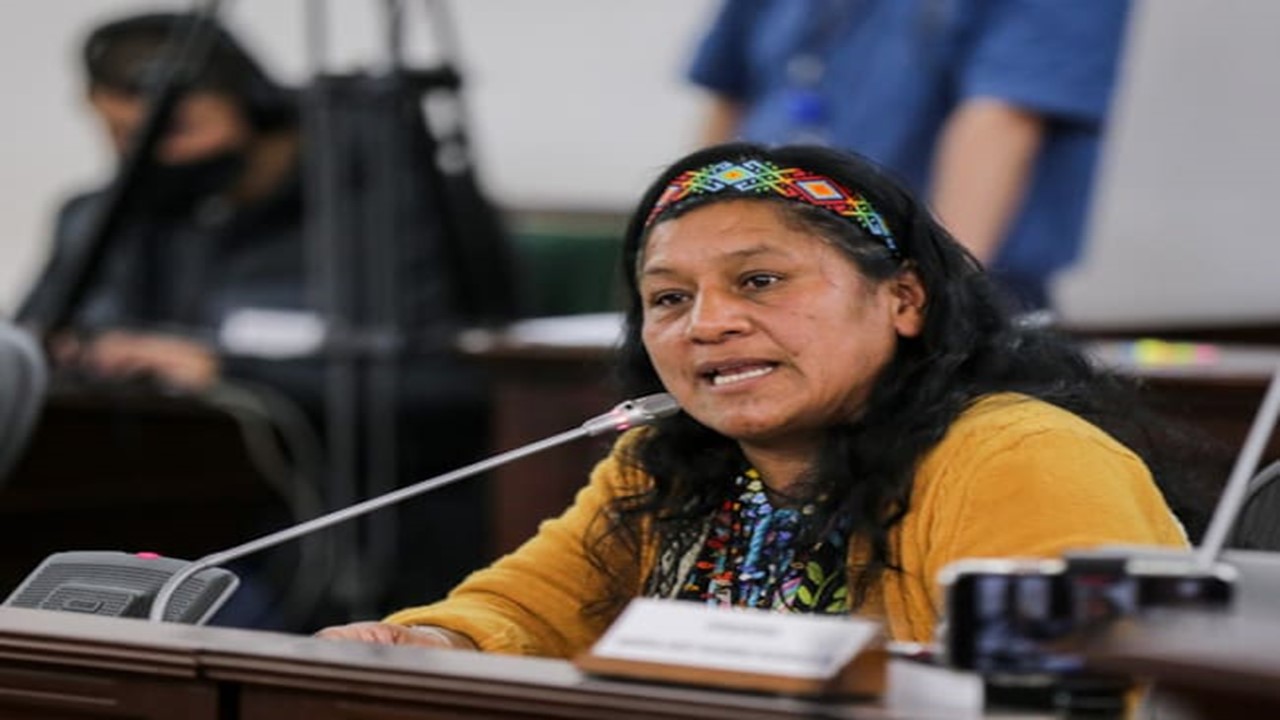 Aída Quilcué entrega sus primeras declaraciones tras su liberación en el Cauca Aída Quilcué entrega sus primeras declaraciones tras su liberación en el Cauca