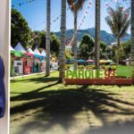 El parque de la 93 en Bogotá se transformará en un refugio Natural con cerca de 6 mil plantas nativas