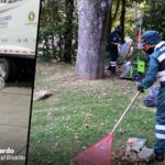 Como logró Promoambiental Distrito controlar 189 zonas afectadas por acumulación de residuos en Bogotá