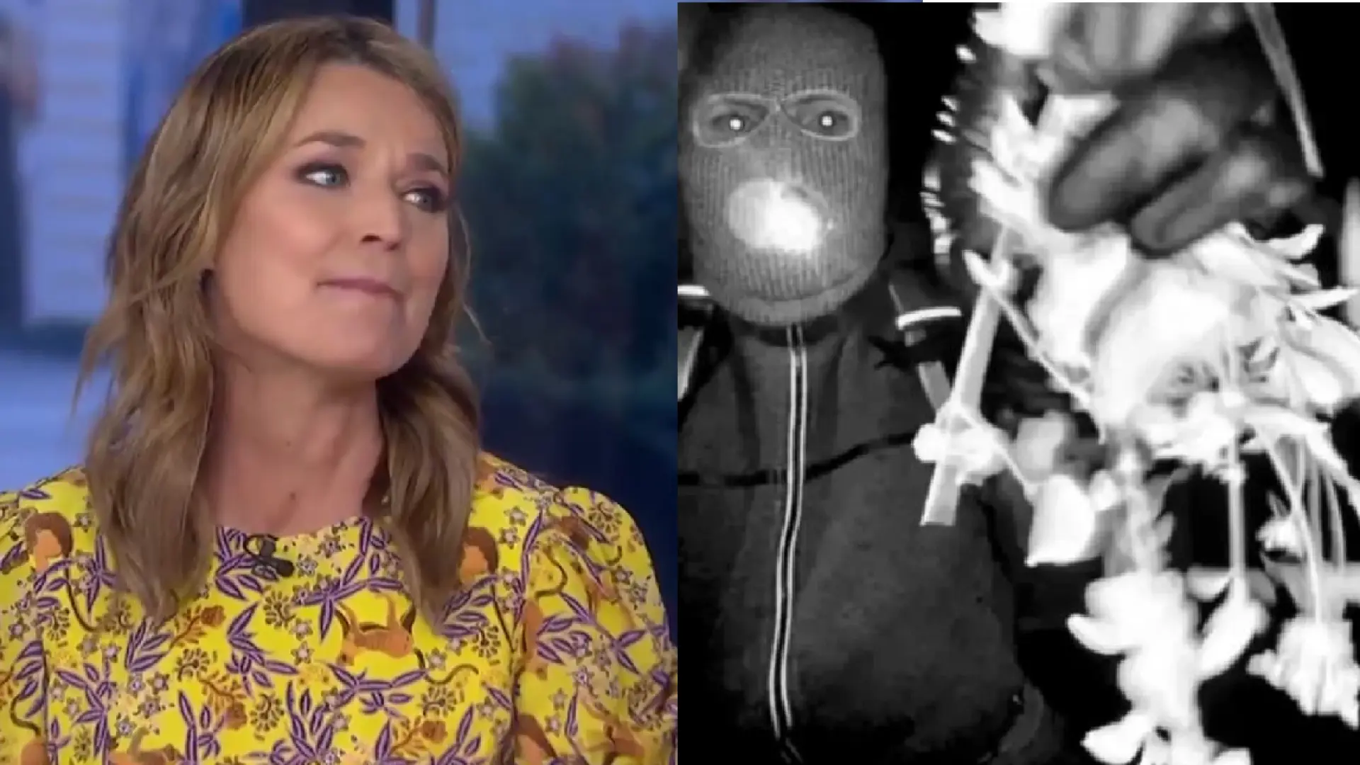 Se cumplen 30 días de la desaparición de la madre de la presentadora de NBC sin novedades Se cumplen 30 días de la desaparición de la madre de la presentadora de NBC sin novedades