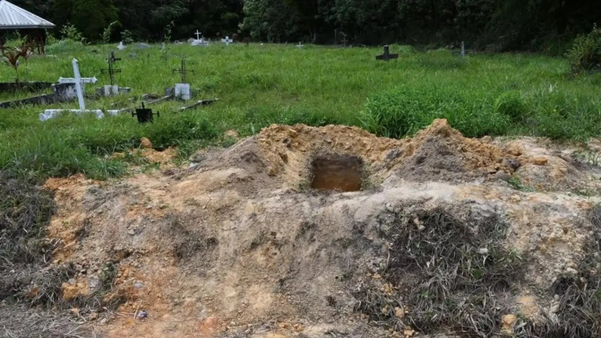 Investigan la misteriosa aparición de los cadáveres de 50 bebés y seis adultos en una isla del Caribe Investigan la misteriosa aparición de los cadáveres de 50 bebés y seis adultos en una isla del Caribe