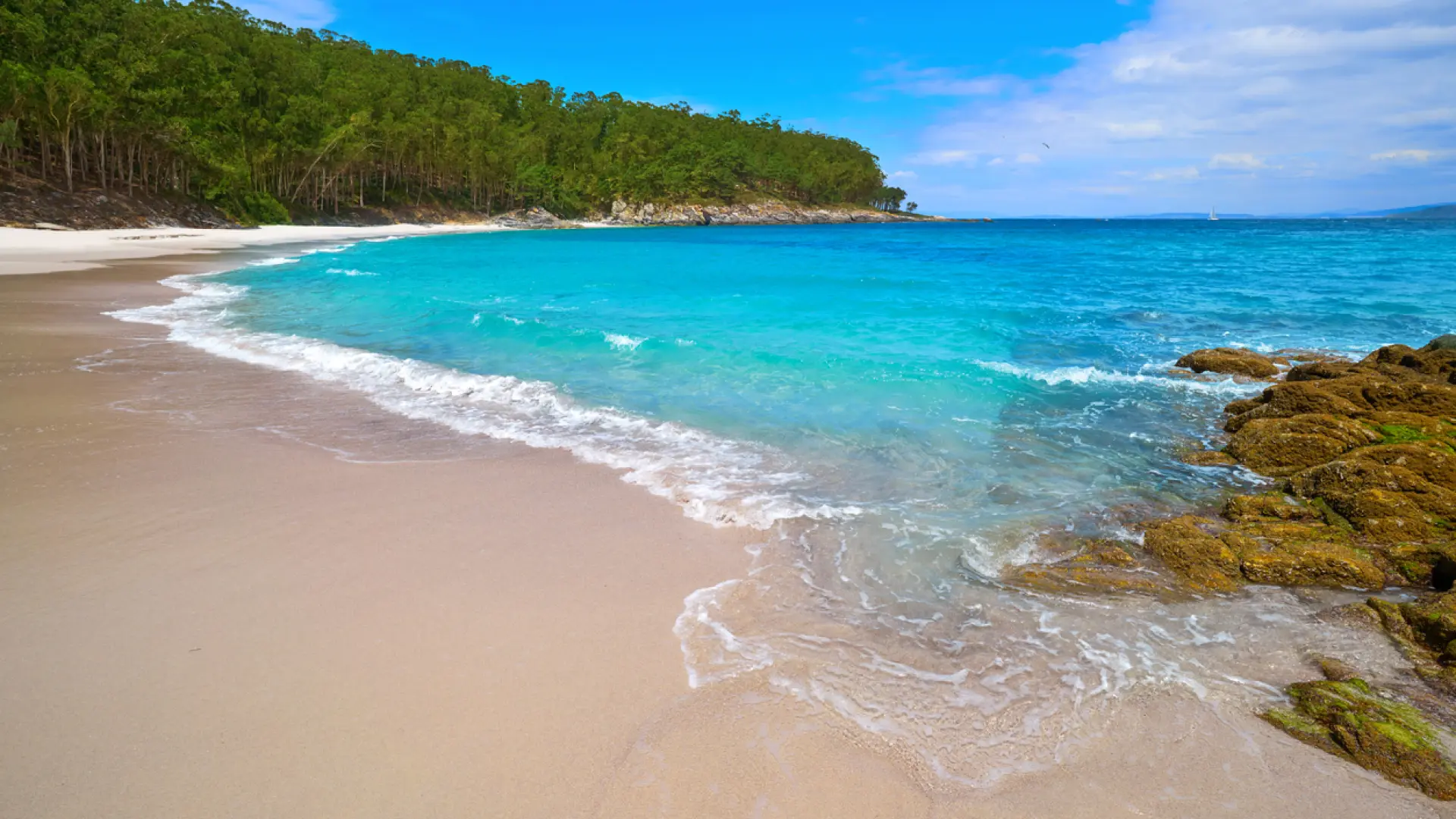 «Tienen unas de las mejores playas del mundo» «Tienen unas de las mejores playas del mundo»