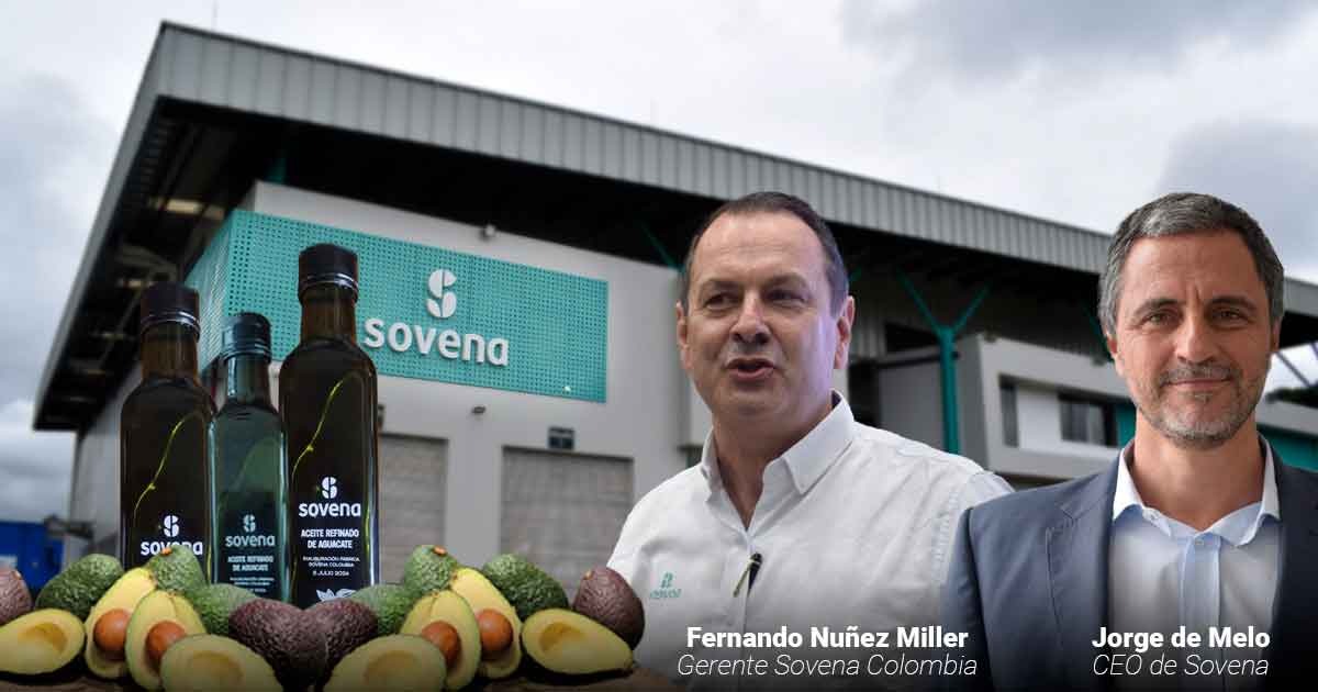 Una multinacional portuguesa se quedo con la planta de aguacate Hass del