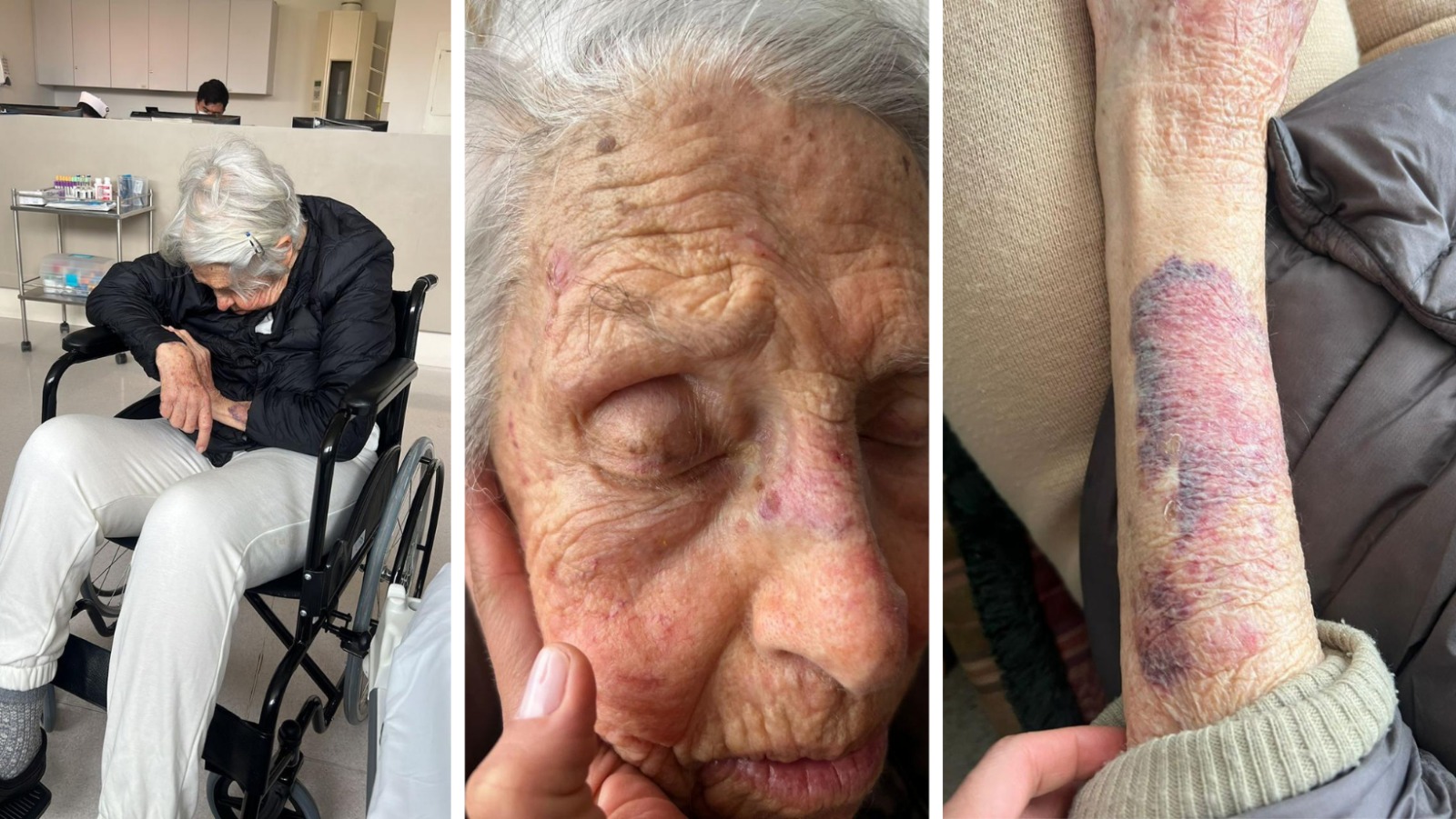 La pesadilla de Doña Helena: El imperio «Elena del Mar» bajo la sombra del maltrato y la ambición