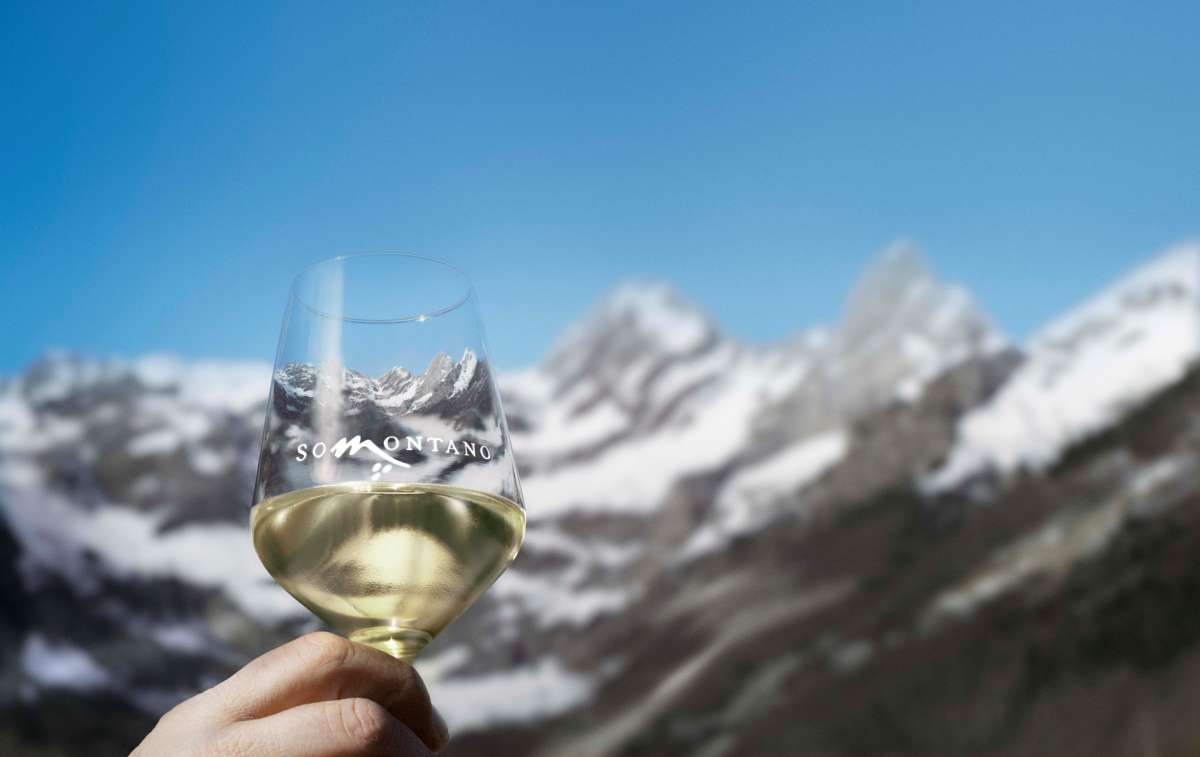 Los siete mejores chardonnays del Somontano