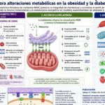 protege contra la obesidad y la diabetes tipo 2 protege contra la obesidad y la diabetes tipo 2