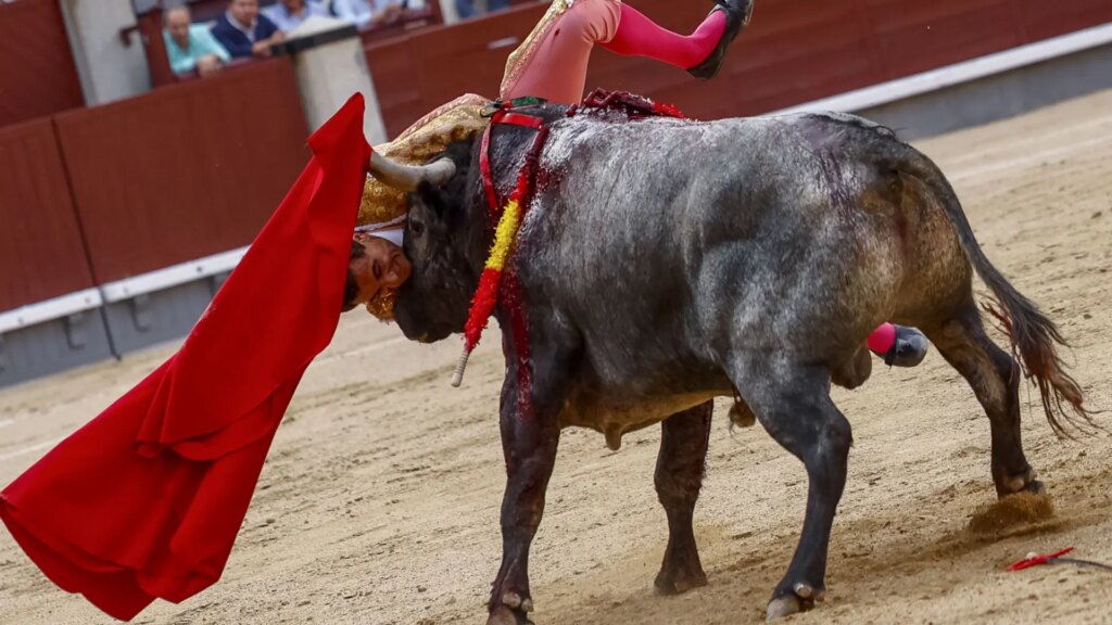 El torero Paco Ureña, herido con pronóstico «grave» tras una cornada en las Ventas