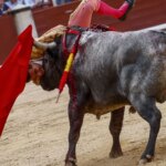 El torero Paco Ureña, herido con pronóstico «grave» tras una cornada en las Ventas