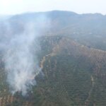 Estabilizado el incendio en Córdoba que se declaró este sábado tras el impacto de un rayo