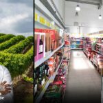 Pinta Negra, un vino joven producido por la familia portuguesa Alves logra vender más de 1.5 millones de botellas en D1 Pinta Negra, un vino joven producido por la familia portuguesa Alves logra vender más de 1.5 millones de botellas en D1