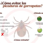 Las enfermeras alertan del repunte de picaduras de garrapatas en España