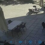 Detenido un hombre en Mora por agredir gravemente a su padre, de 70 años, en la terraza de un bar