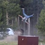 El momento en el que un bisonte arrolla a un anciano y lo lanza a tres metros de altura en el parque de Yellowstone El momento en el que un bisonte arrolla a un anciano y lo lanza a tres metros de altura en el parque de Yellowstone
