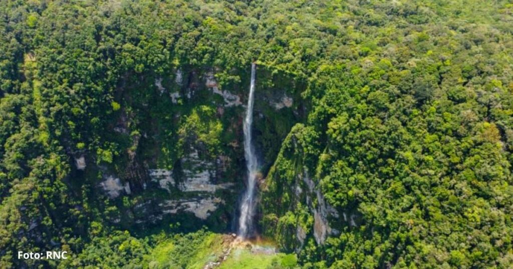 El rincón de Colombia, escondido en los Llanos Orientales, donde parece que la lluvia desafía la gravedad El rincón de Colombia, escondido en los Llanos Orientales, donde parece que la lluvia desafía la gravedad