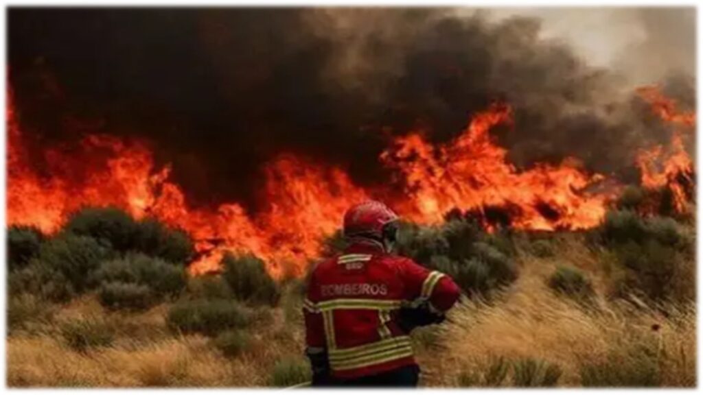 Tragedia por incendio forestal en España: al menos 12 muertos, 23 desaparecidos y cientos de evacuados en Almería
