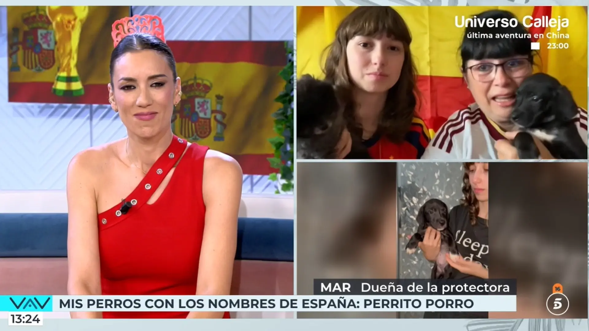Una protectora pone en adopción a varios perros con los nombres de la Selección española: «Perrito Porro, Ferran, Unai…»