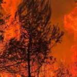 el fuego pone en jaque el centro y este peninsular