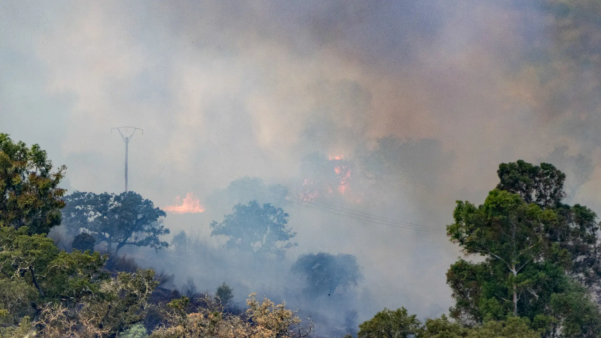 los incendios obligan a confinar y desalojar a de vecinos varias zonas de España y el de La Mierla sigue activo los incendios obligan a confinar y desalojar a de vecinos varias zonas de España y el de La Mierla sigue activo