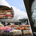 Cómo Avianca se quedó con Tampa la transportadora de carga fundada hace 50 años en Medellín Cómo Avianca se quedó con Tampa la transportadora de carga fundada hace 50 años en Medellín