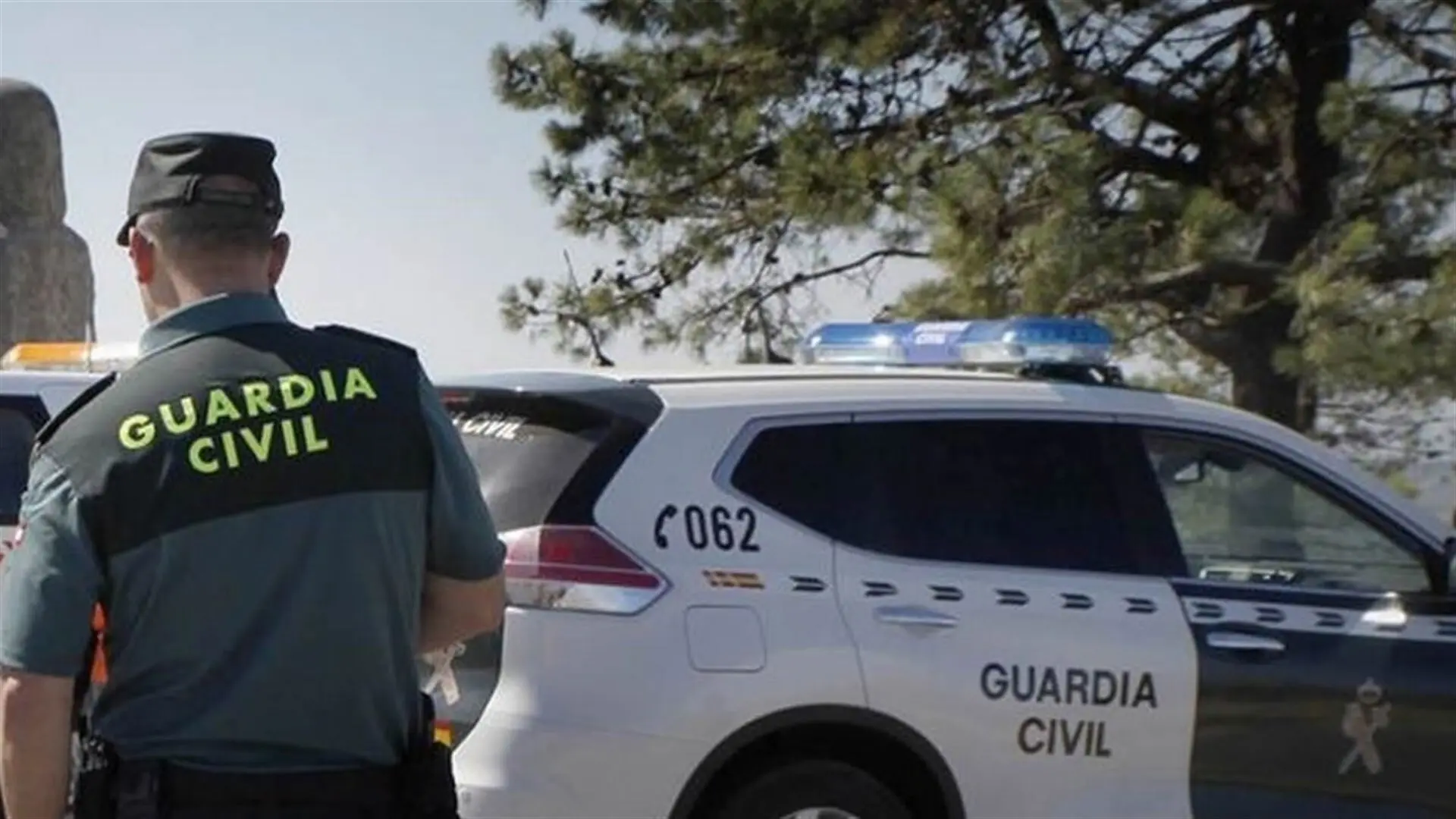 Encuentran el cadáver de una persona en avanzado estado de descomposición en un olivar en Granada