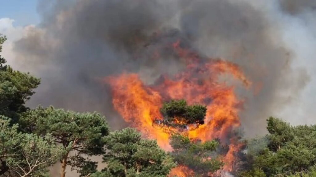 Un vehículo ardiendo en el arcén provoca un incendio forestal junto a la AP-6 en Segovia Un vehículo ardiendo en el arcén provoca un incendio forestal junto a la AP-6 en Segovia