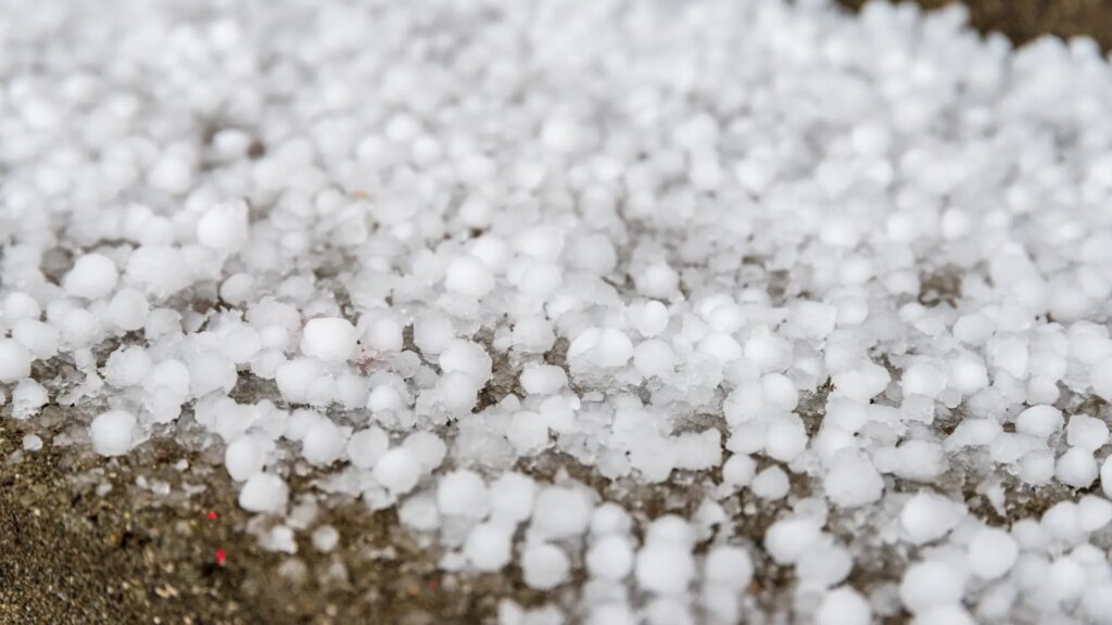 Una fuerte granizada provoca la caída de ramas de árboles y daños en coches y tejados en Utiel
