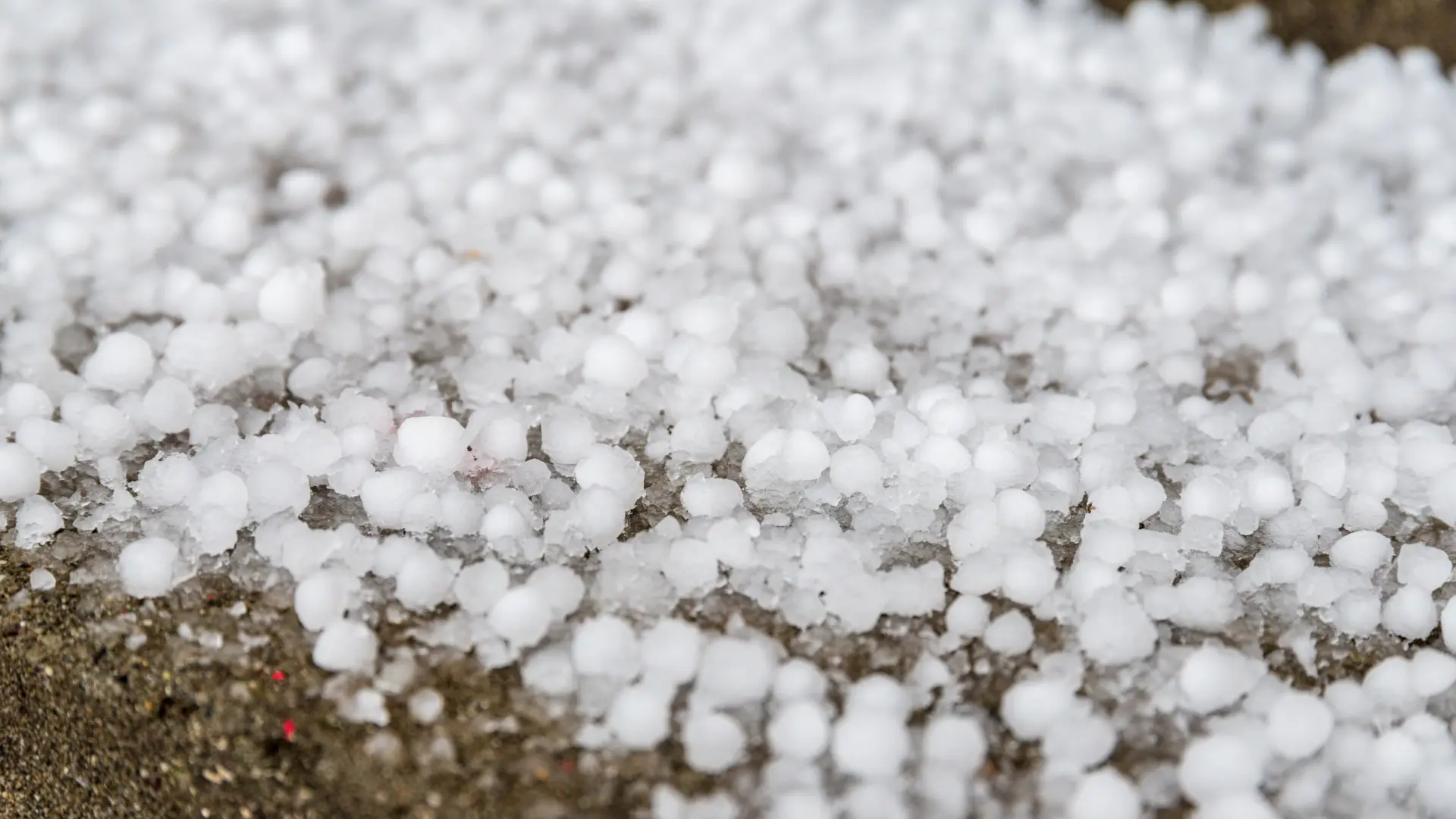 Una fuerte granizada provoca la caída de ramas de árboles y daños en coches y tejados en Utiel