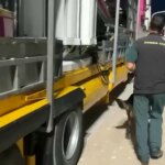 Hallan en Melilla a 71 personas ocultas en atracciones que pretendían viajar como polizones a la Península