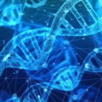 ayuda a encender los genes