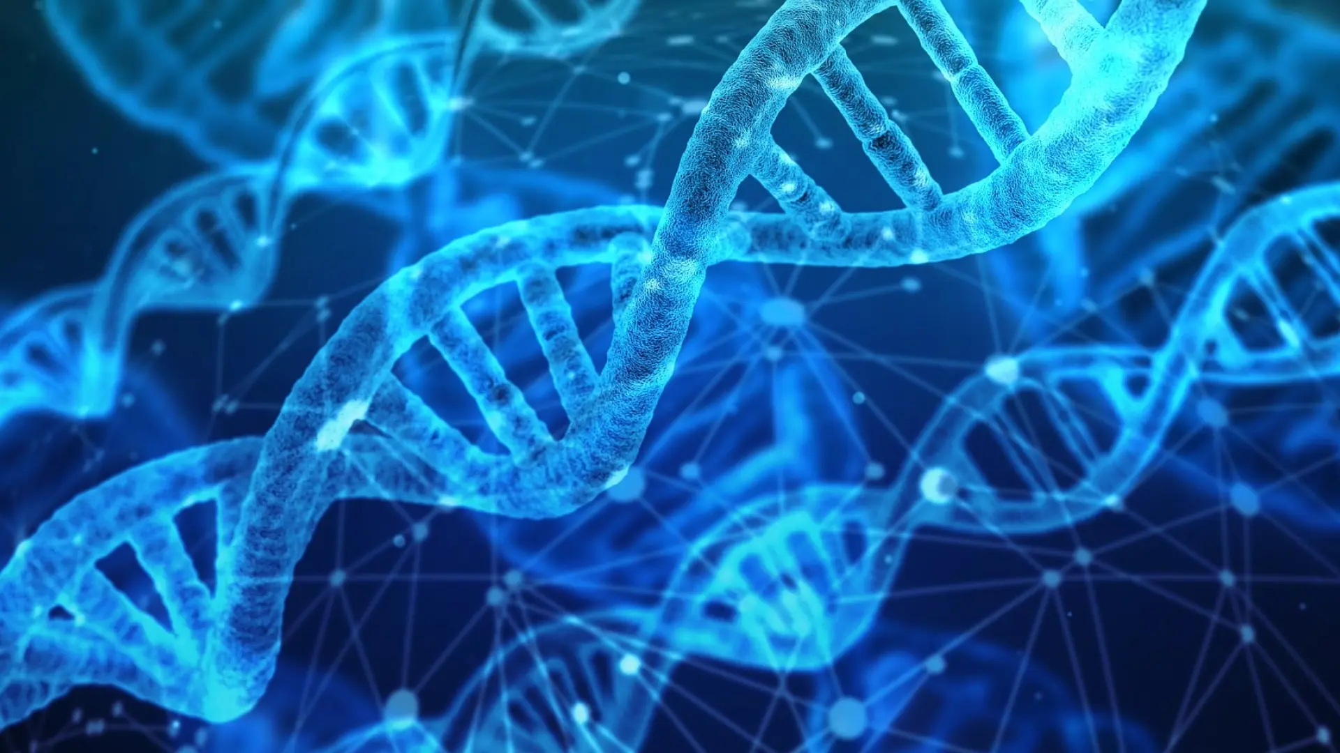 ayuda a encender los genes