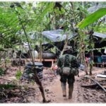 Ejército desmantela complejo para procesar cocaína en Putumayo y reporta millonaria afectación a las economías ilegales Ejército desmantela complejo para procesar cocaína en Putumayo y reporta millonaria afectación a las economías ilegales